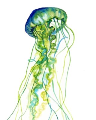 Green Jellyfish Art Paint By Numbers