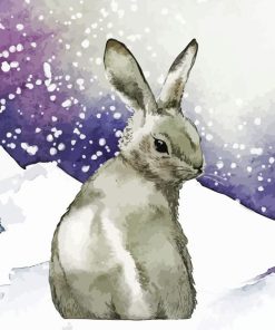 Grey Bunny In Snow Paint By Numbers