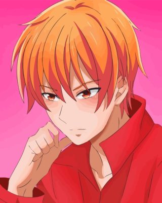 Kyo Sohma Fruits Basket Character Paint By Numbers