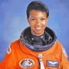 Mae C Jemison Paint By Numbers