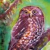 Morepork Paint By Numbers