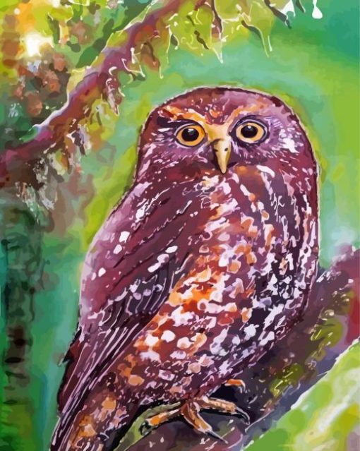 Morepork Paint By Numbers