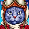 Mr Pilot Cat Paint By Numbers