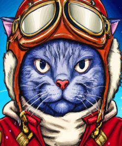 Mr Pilot Cat Paint By Numbers