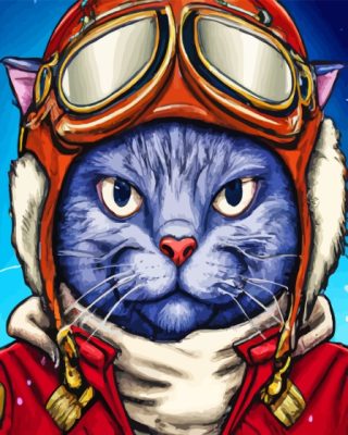 Mr Pilot Cat Paint By Numbers