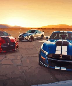 Mustang Shelby Gt500 Cars Paint By Numbers
