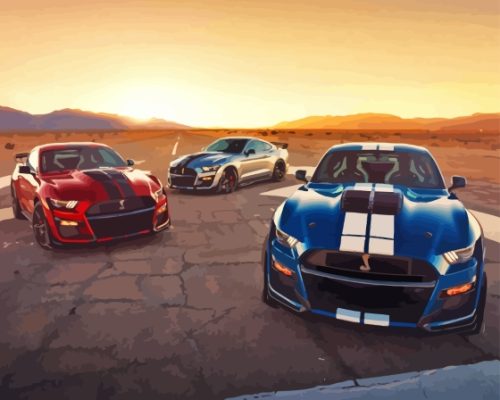 Mustang Shelby Gt500 Cars Paint By Numbers