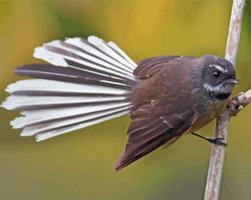 New Zealand Fantail Paint By Numbers