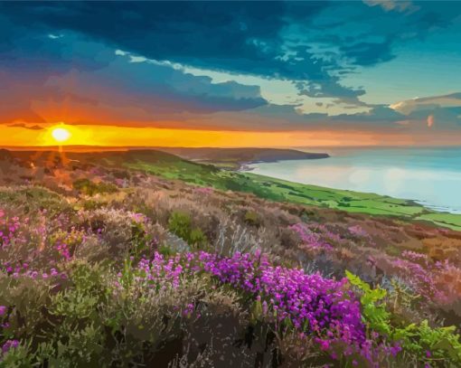 North York Moors National Park Landscape Paint By Numbers