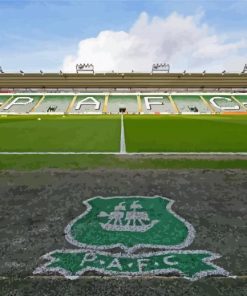 Plymouth Argyle Football Club Stadium Paint By Numbers