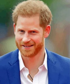 Prince Harry Paint By Numbers