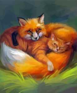 Sleepy Cat And Fox Paint By Numbers