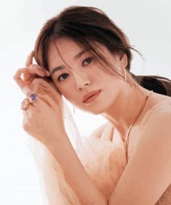 South Korean Song Hye Kyo Paint By Numbers