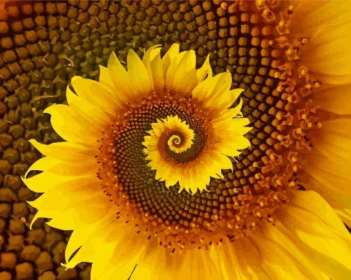 Spiral Sunflower Paint By Numbers