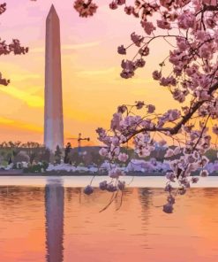 Sunset Cherry Blossom Washington Monument Paint By Numbers