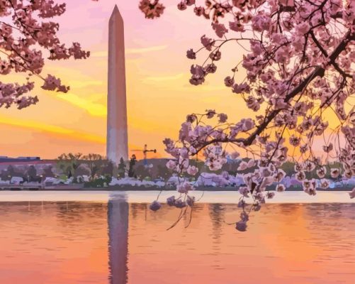 Sunset Cherry Blossom Washington Monument Paint By Numbers