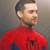 Tobey Maguire Spider Man Marvel Hero Paint By Numbers