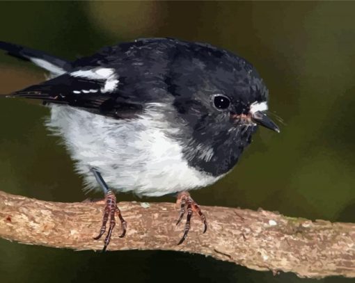 Tomtit Bird Paint By Numbers