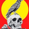 Vintage Crow And Skull Paint By Numbers