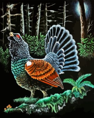 Western Capercaillie Paint By Numbers