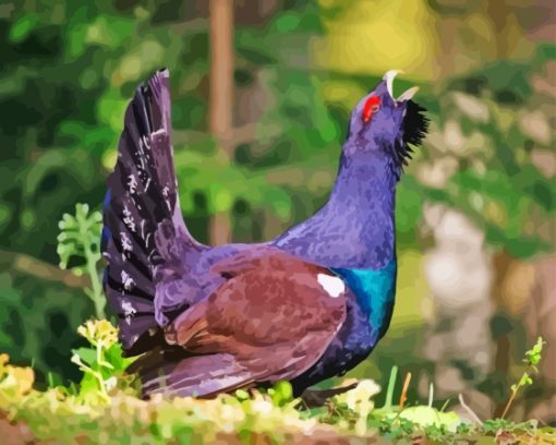 Western Capercaillie Bird Paint By Numbers