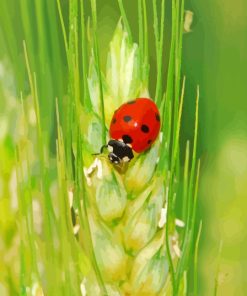 Wheat And Ladybug Paint By Numbers