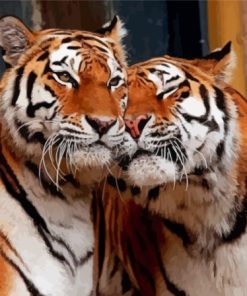 Wild Tigers In Love Paint By Numbers