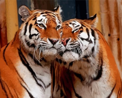 Wild Tigers In Love Paint By Numbers