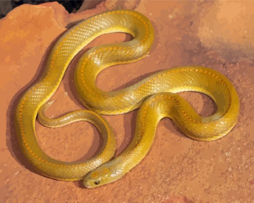 Yellow Snake Paint By Numbers