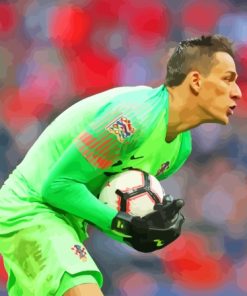 Aesthetic Lovre Kalinic Paint By Numbers