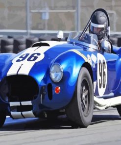 Blue Cobra Race Car Paint By Numbers