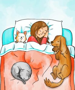 Cartoon Girl Sleeping With Pet Paint By Numbers