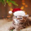 Christmas Cat Paint By Numbers