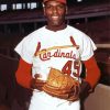 Bob Gibson Paint By Numbers