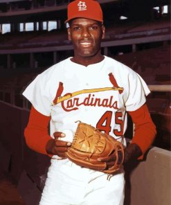 Bob Gibson Paint By Numbers