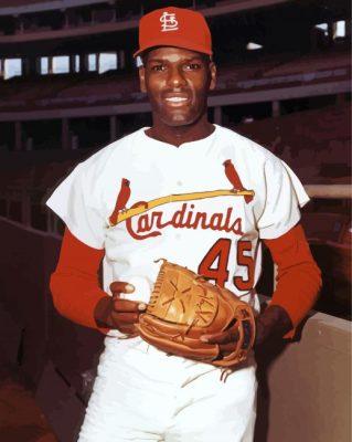 Bob Gibson Paint By Numbers