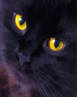 Black Cat Eyes Paint By Numbers