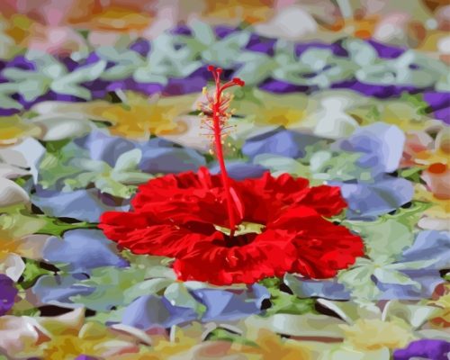 Floating Flower On Water Paint By Numbers