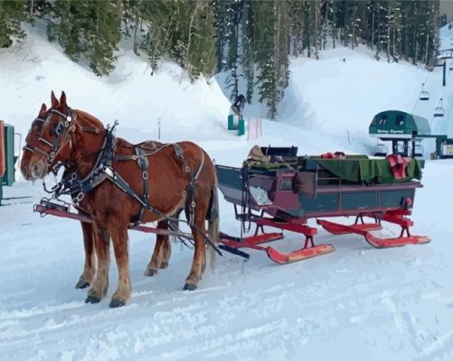 Horses With Sleigh Paint By Numbers