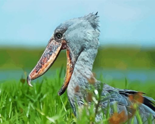 Shoebill Head Paint By Numbers