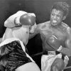 Sugar Ray Robinson Walker Smith Jr Paint By Numbers