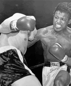 Sugar Ray Robinson Walker Smith Jr Paint By Numbers