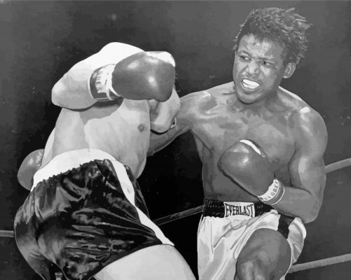 Sugar Ray Robinson Walker Smith Jr Paint By Numbers