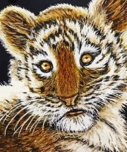 Baby Face Tiger Art Paint By Numbers