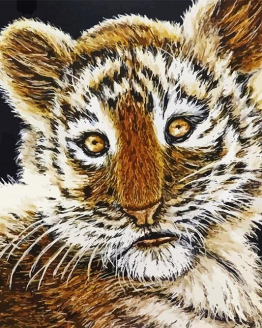 Baby Face Tiger Art Paint By Numbers