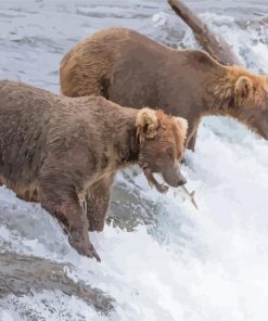 Two Brown Bears In Waterfall Paint By Numbers