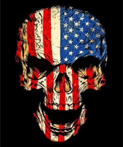American Skull Art Paint By Numbers