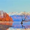 Arrowtown South Island Landscape Paint By Numbers