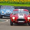 Classic Cobra Le Mans Cars Paint By Numbers