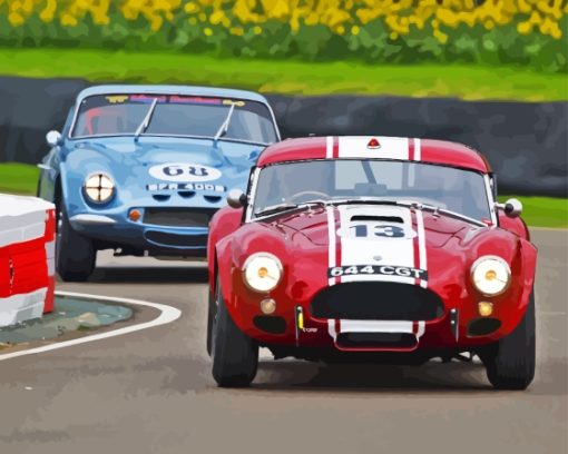 Classic Cobra Le Mans Cars Paint By Numbers